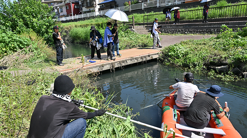 富良州高校掲示板