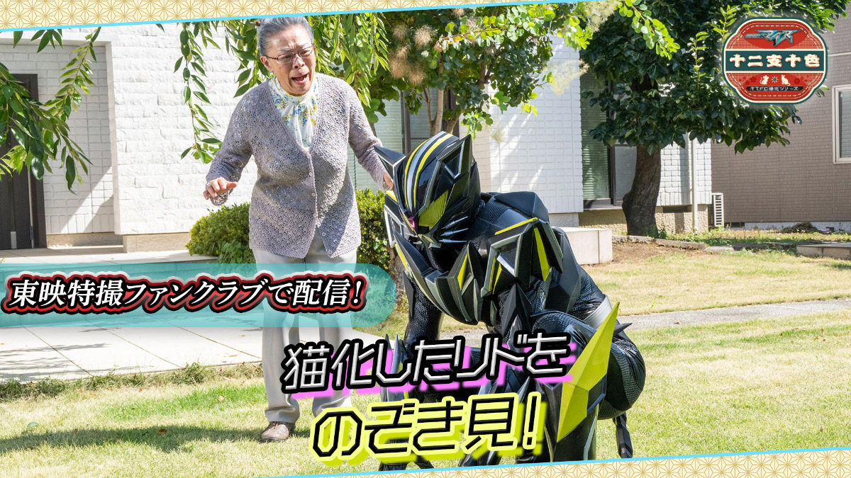 最新情報