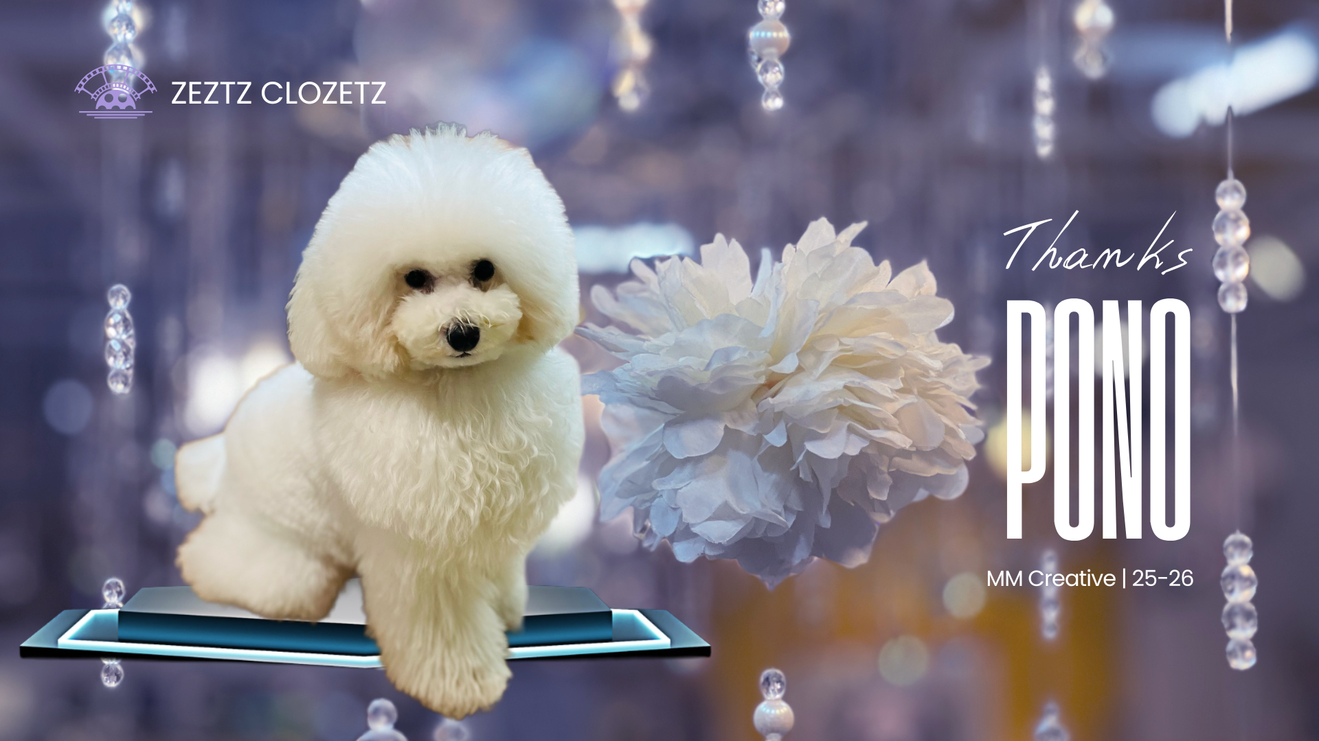 ゼッツクローゼッツ-134