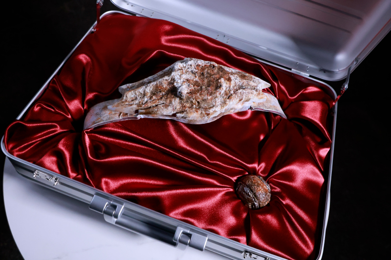 今週の二度寝-167