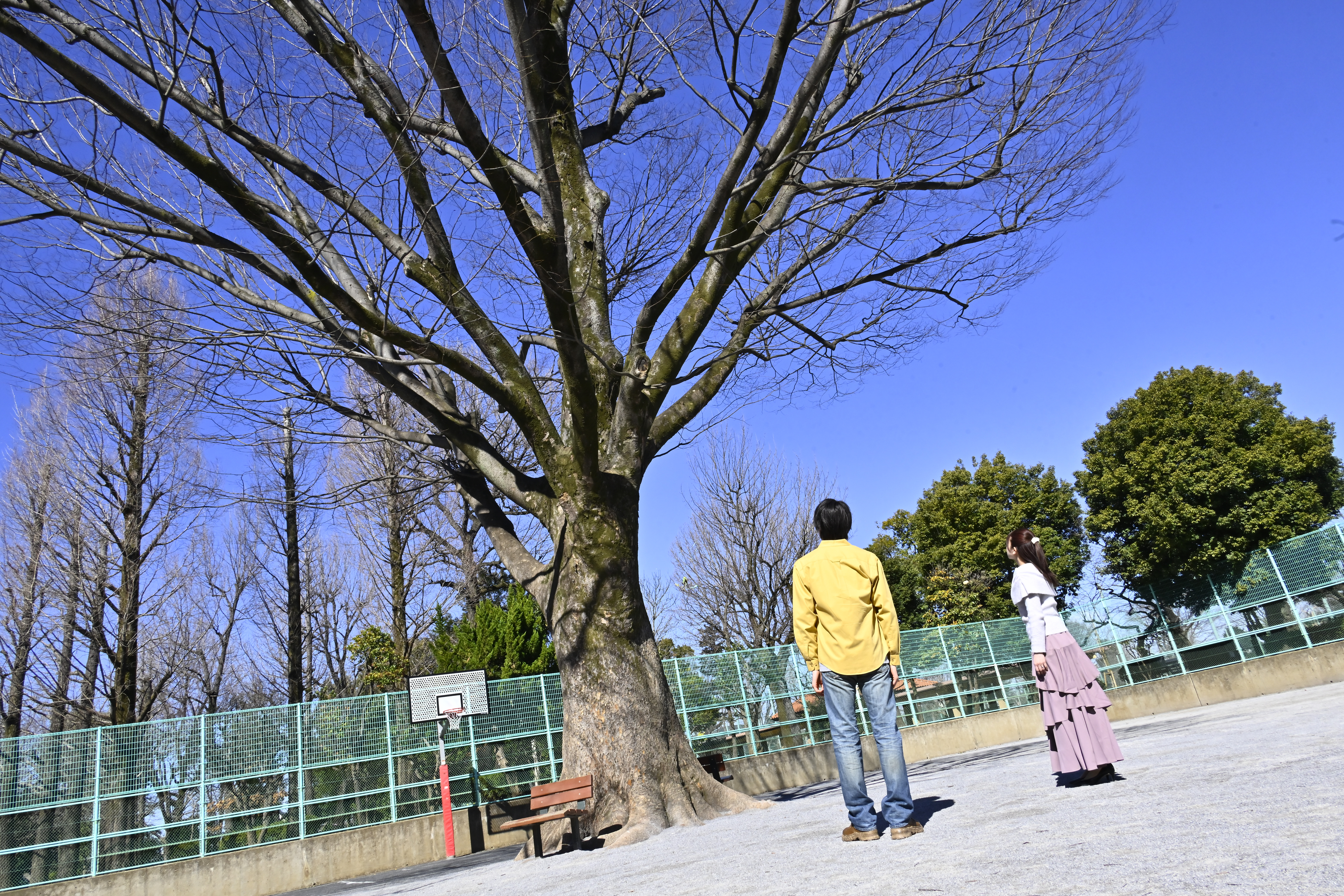 今週の二度寝-61